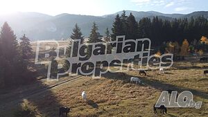 Живописен парцел в село Говедарци