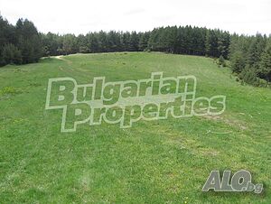 image_4
