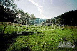 image_5
