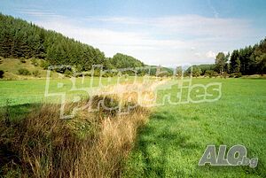 image_6