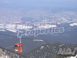 image_7