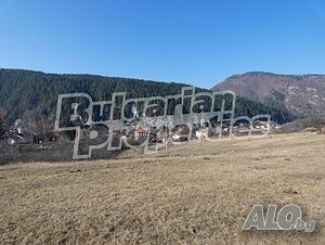 image_3