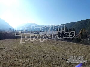 image_5
