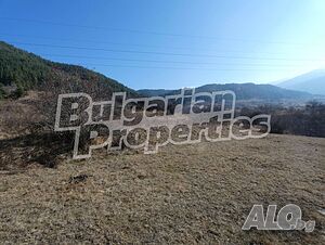 image_8