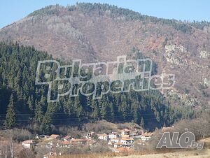 image_15
