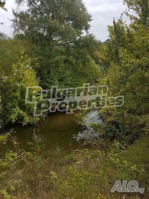 image_10