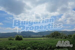 image_5