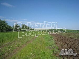 image_3