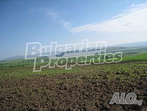 image_6