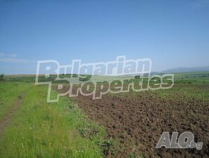image_10
