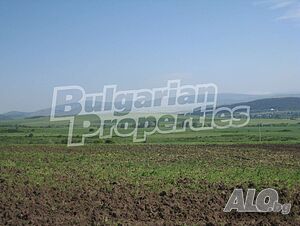 image_11