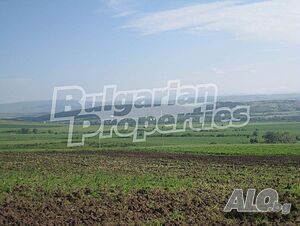 image_12