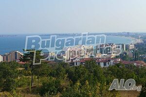 image_11