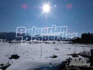 image_6