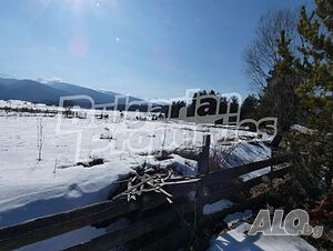 image_7