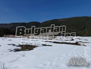 image_12