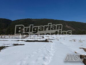 image_13