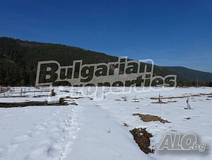 image_14