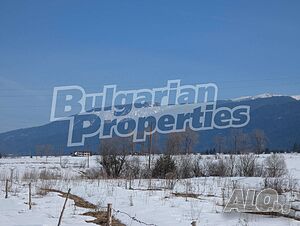 image_15