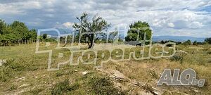 image_9