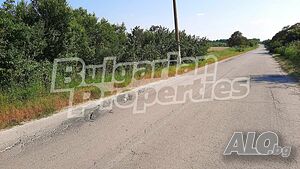 image_4