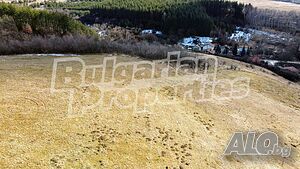 image_11