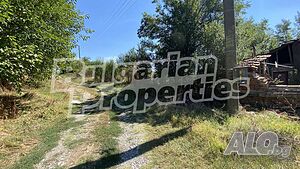 image_11
