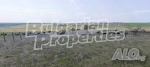 image_11