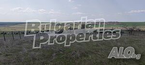 image_15
