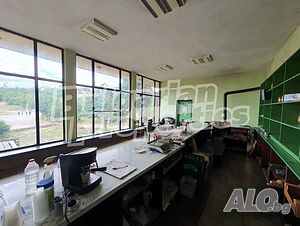 image_6