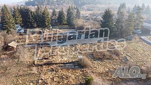 image_10