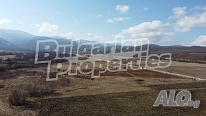 image_7