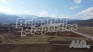 image_8