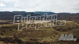 image_6