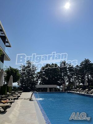image_11
