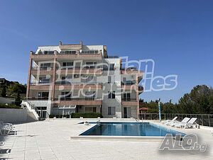 image_11