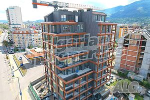 image_11