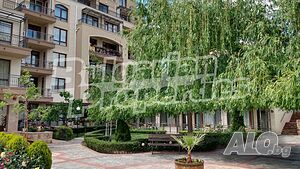 image_8