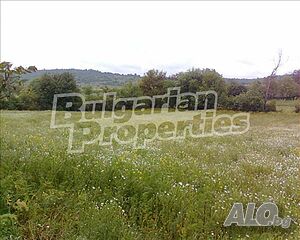 Парцел за застрояване в село Мамарчево