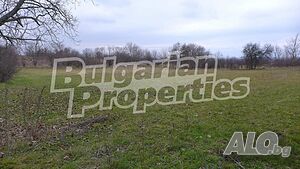 image_6