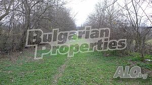 image_9
