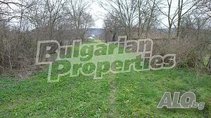 image_10