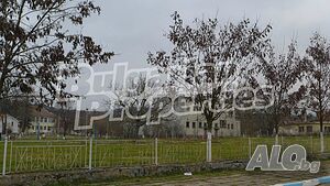 image_12