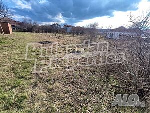 image_6