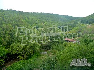 image_12