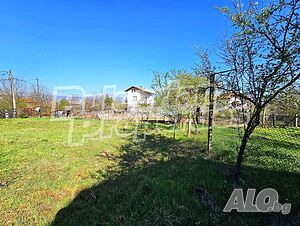 image_11