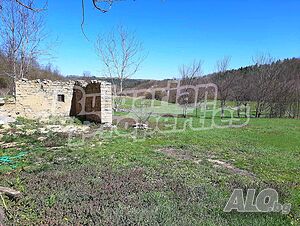 image_3