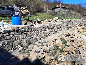 image_11