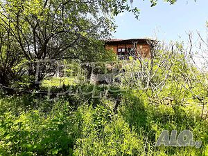 image_6