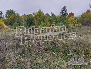 image_6